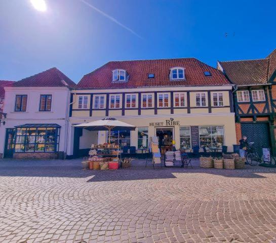 Bed and Breakfast Hoshelle Рібе Екстер'єр фото